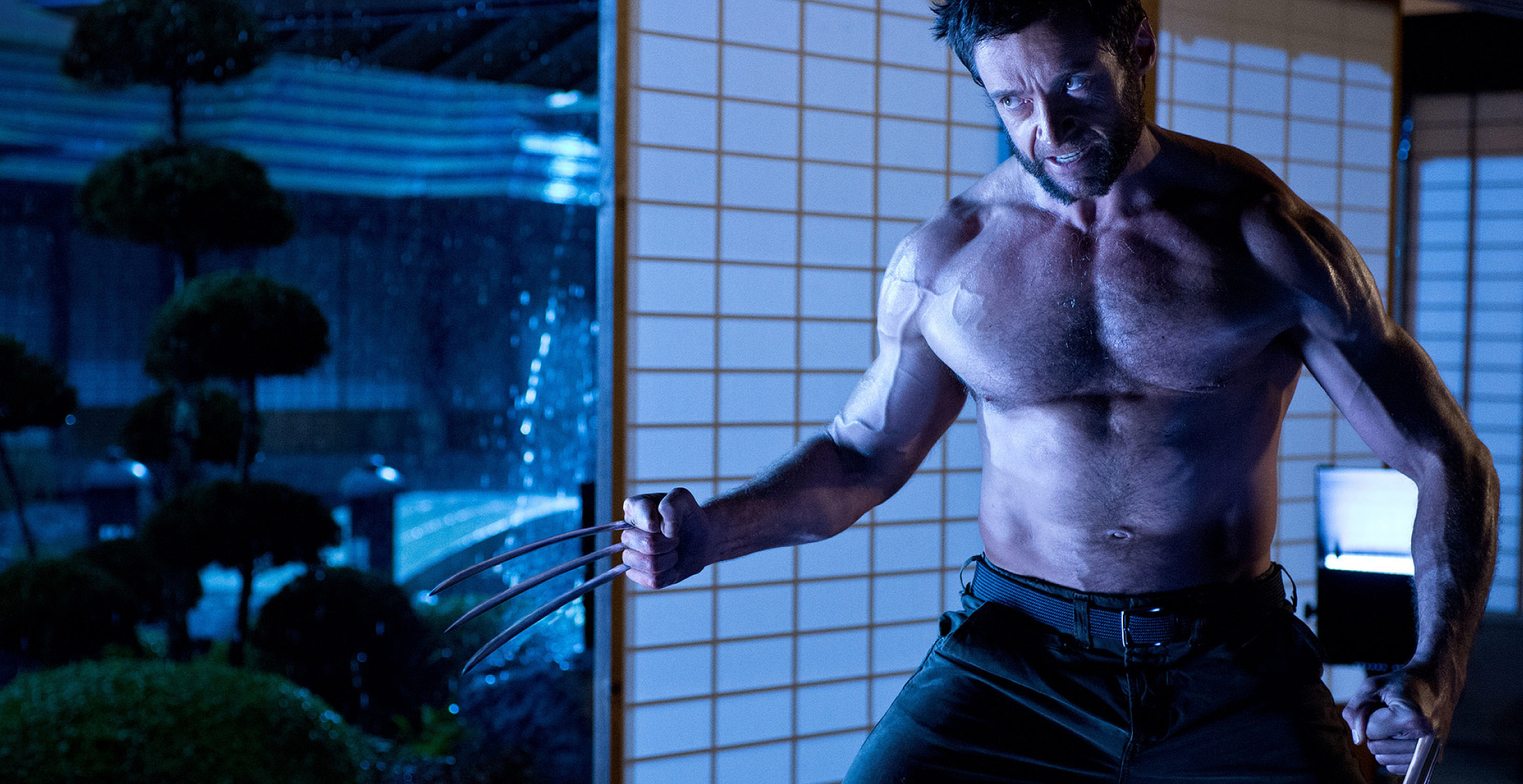 Wall Street Wolverine on X:  / X